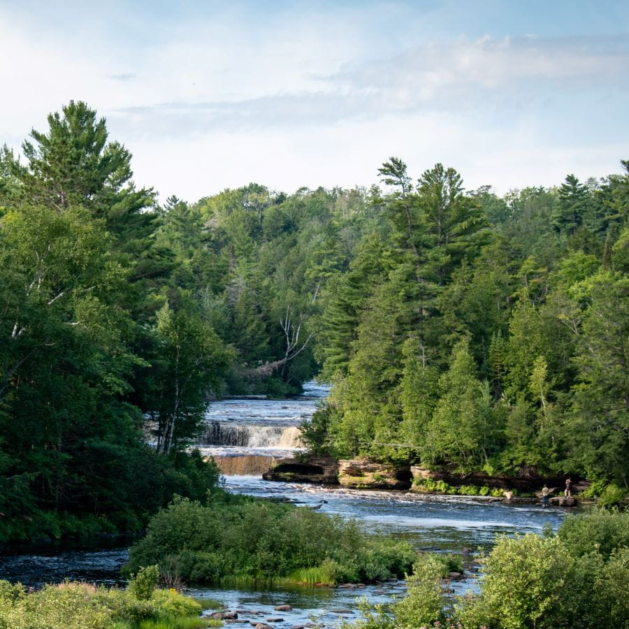 A river, waterfall, and deep green forest