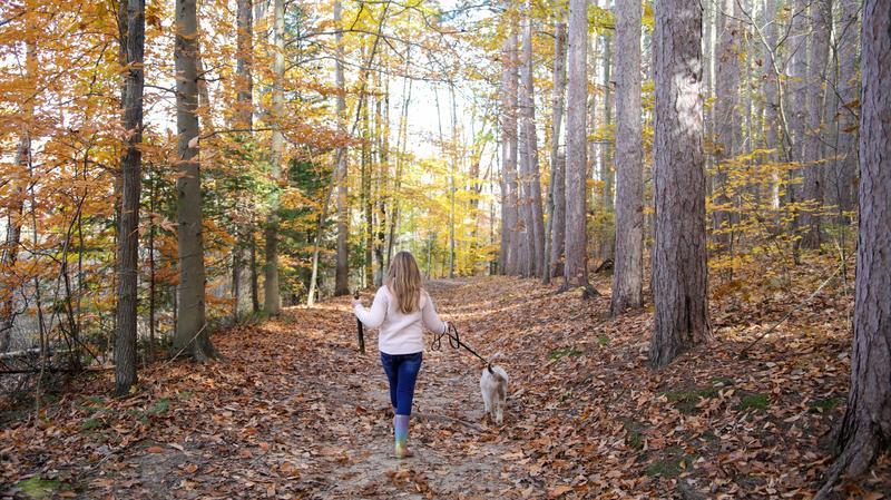 A woman walks her dog on a leash on a trail through the woods with fall colors on the trees
