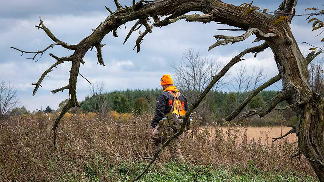 A hunter walks through a field with a tree branch arching over in the foreground