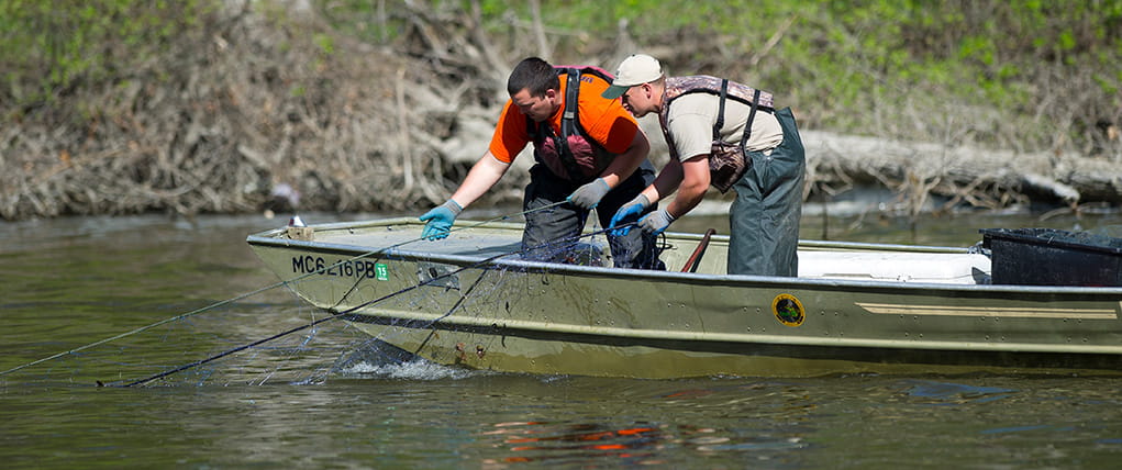 Fisheries Management