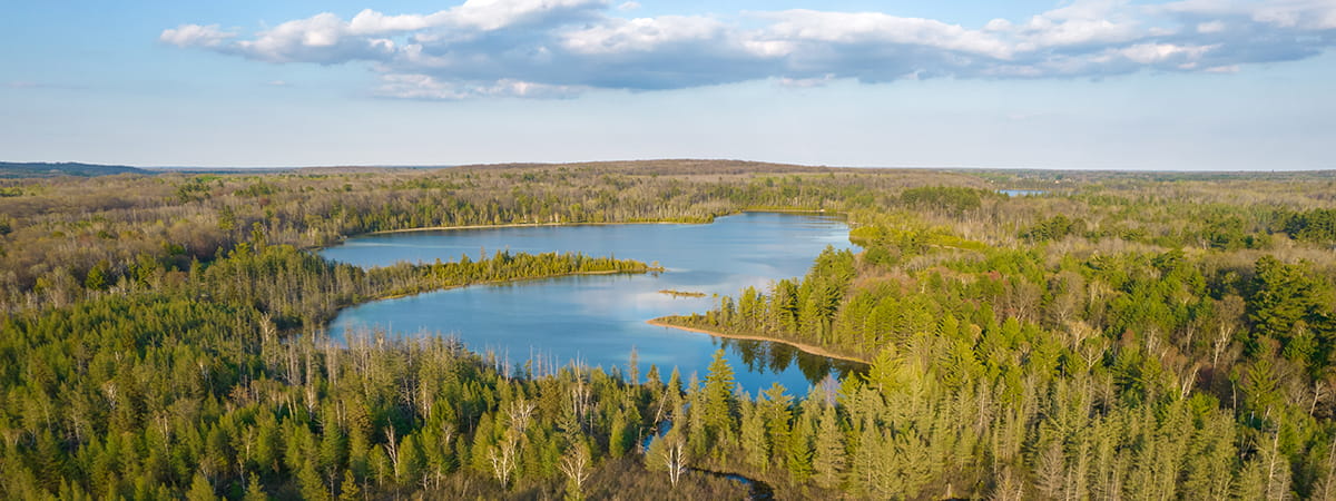 bird's eye view of a lake and forest