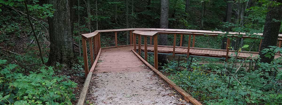 An accessible trail through the woods - a wide wooden walkway/ramp to enable access on the trail.
