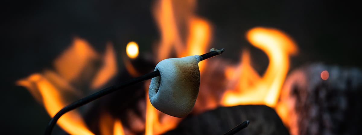 marshmallow roasting over a campfire