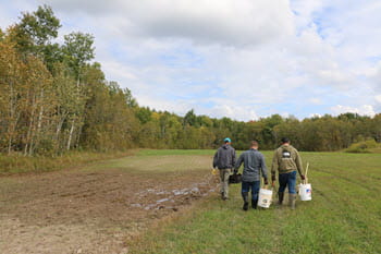 Three men walk through a field, carrying buckets