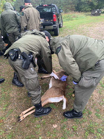men leaning over a dead deer on the ground
