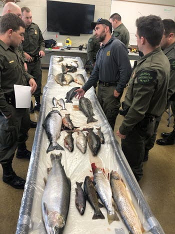 People looking at fish on a table