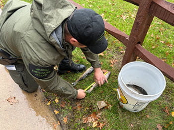 Person measuring a fish on the ground next to a bucket
