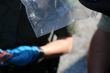 lead pellet inside a clear bag