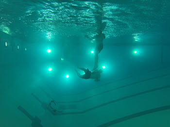person swimming under water in a pool