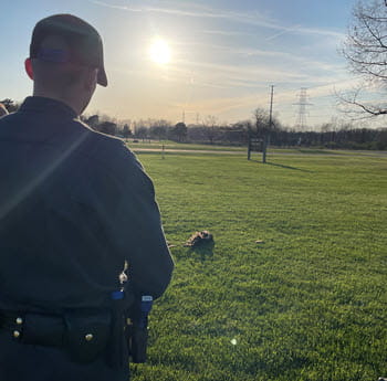 Person outside looking at a dead turkey on the ground