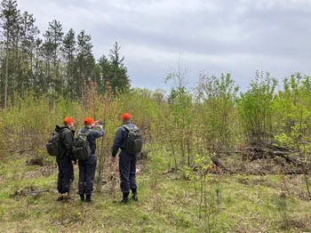 three people use binoculars in the woods