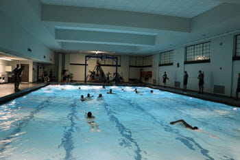 people swimming in a pool