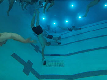 people diving to bottom of pool