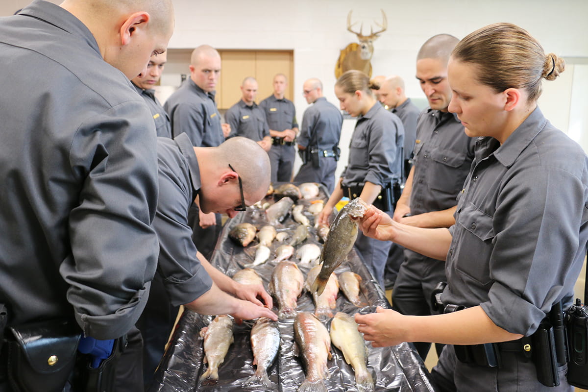 Conservation officer recruits fish identification