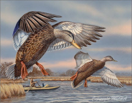 Current MDHA Duck Stamp