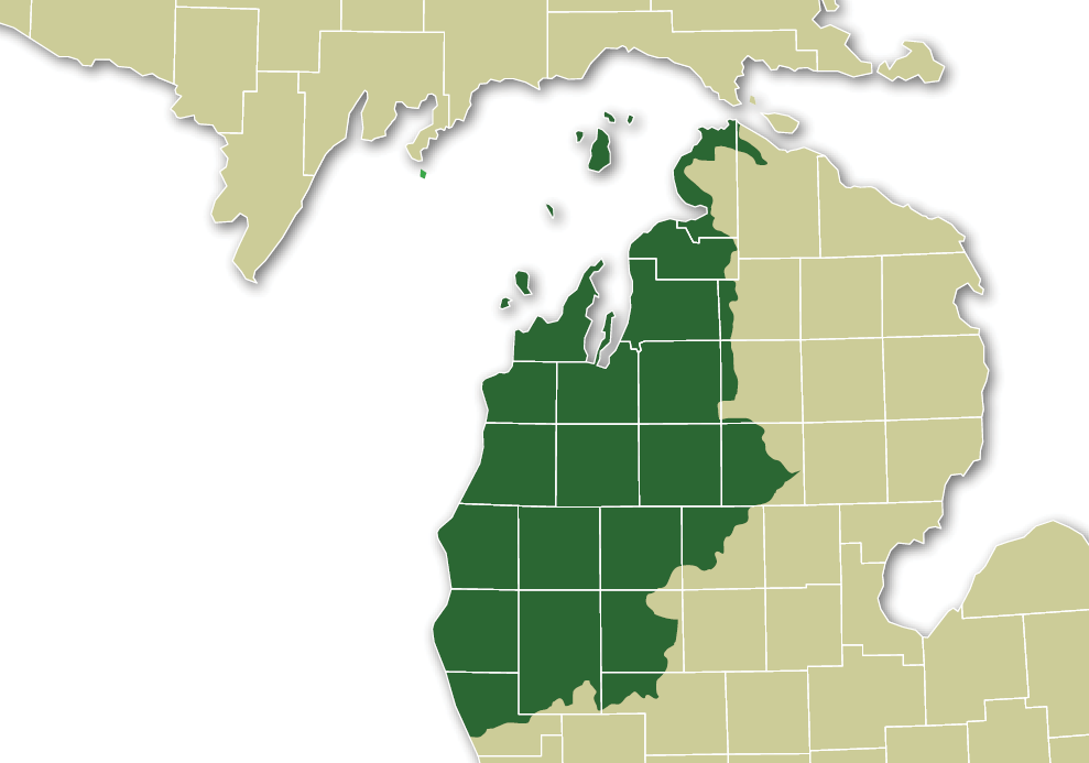 Central Lake Michigan map