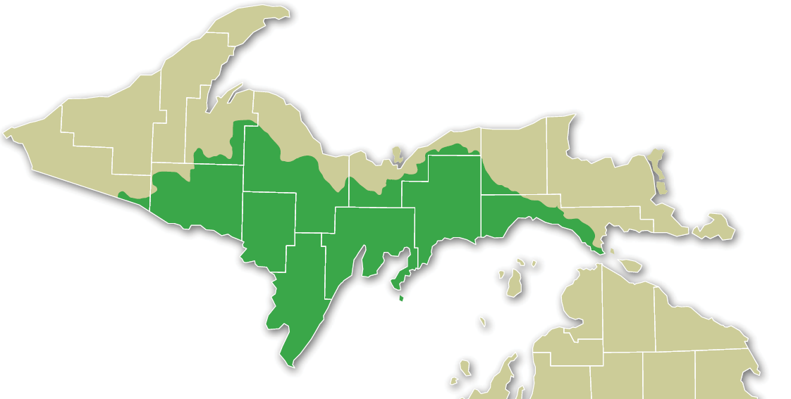 Northern Lake Michigan map