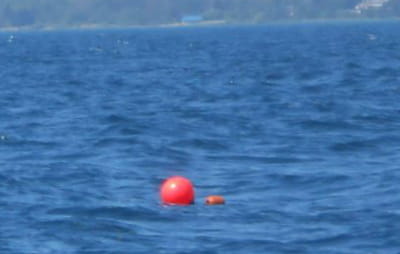Single float