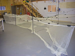 trap net example