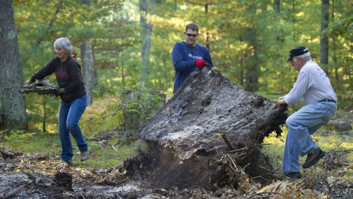 Volunteers clean up trash as part of an adopt a forest event