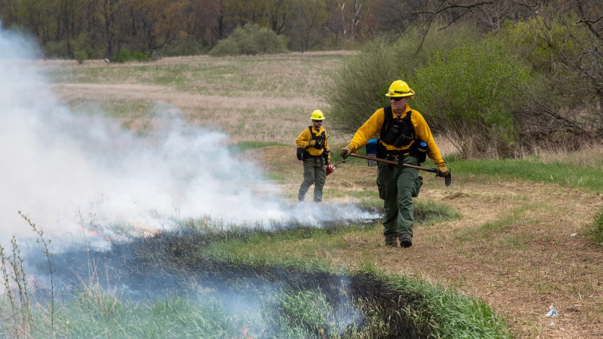 Two firefighters walk along a smoky burn line in a field