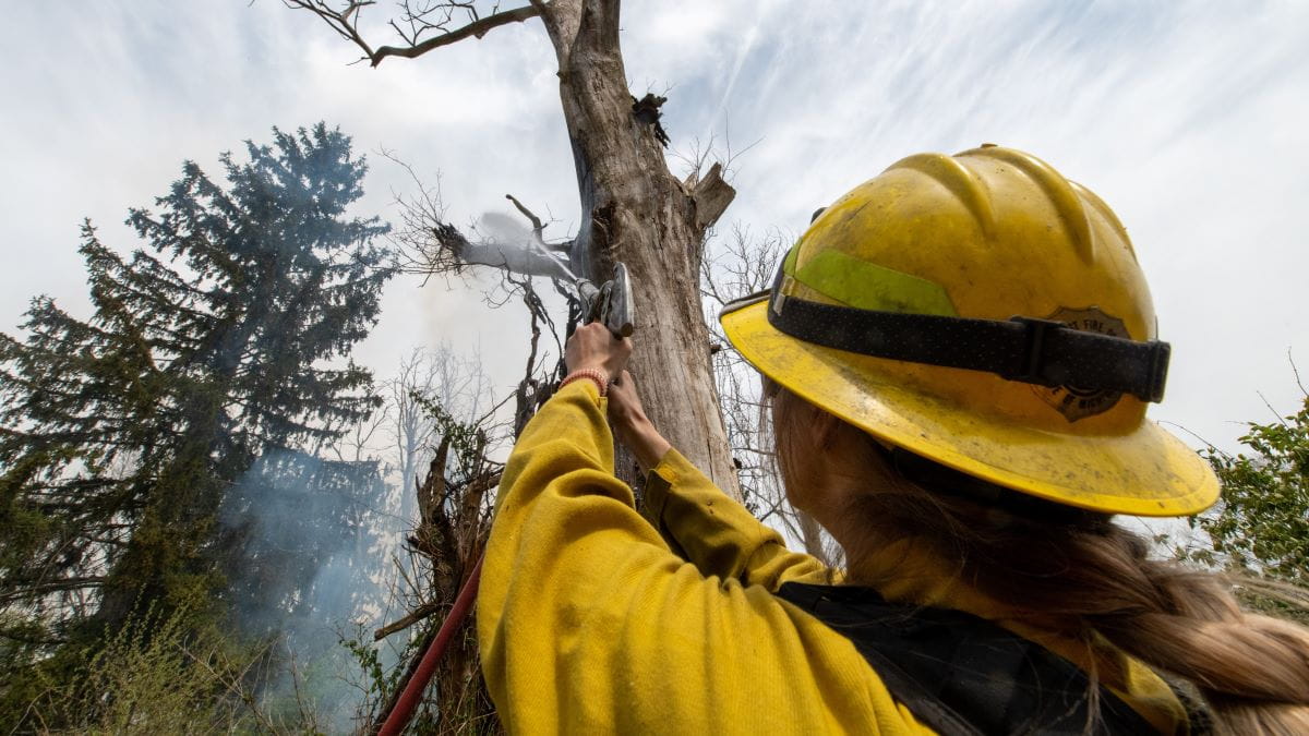 A firefighter wearing a hard hat sprays water on a smoking tree limb