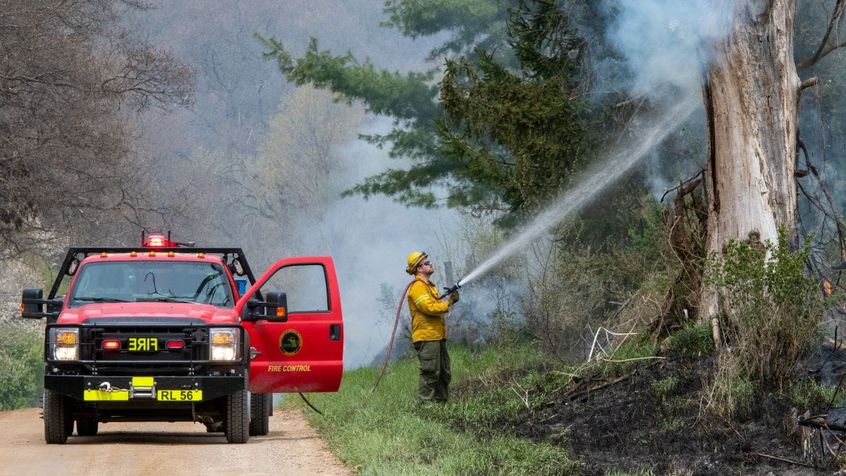 A firefighter next to a red fire truck sprays water up at a smoking tree