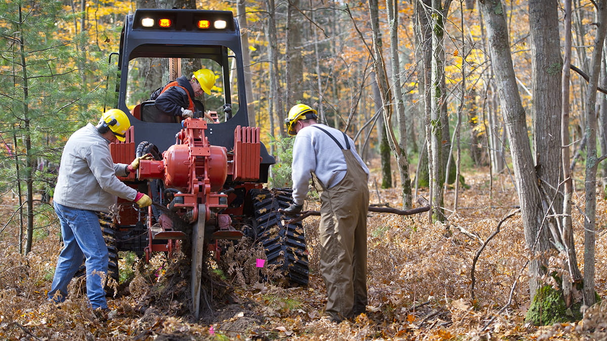 Three people in safety gear use a vibratory plow as part of an oak wilt treatment