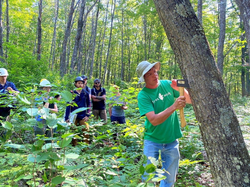 A DNR forest health expert teaches a class of university students