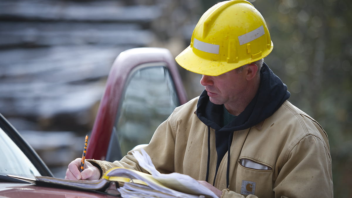 A forester wearing safety gear takes notes