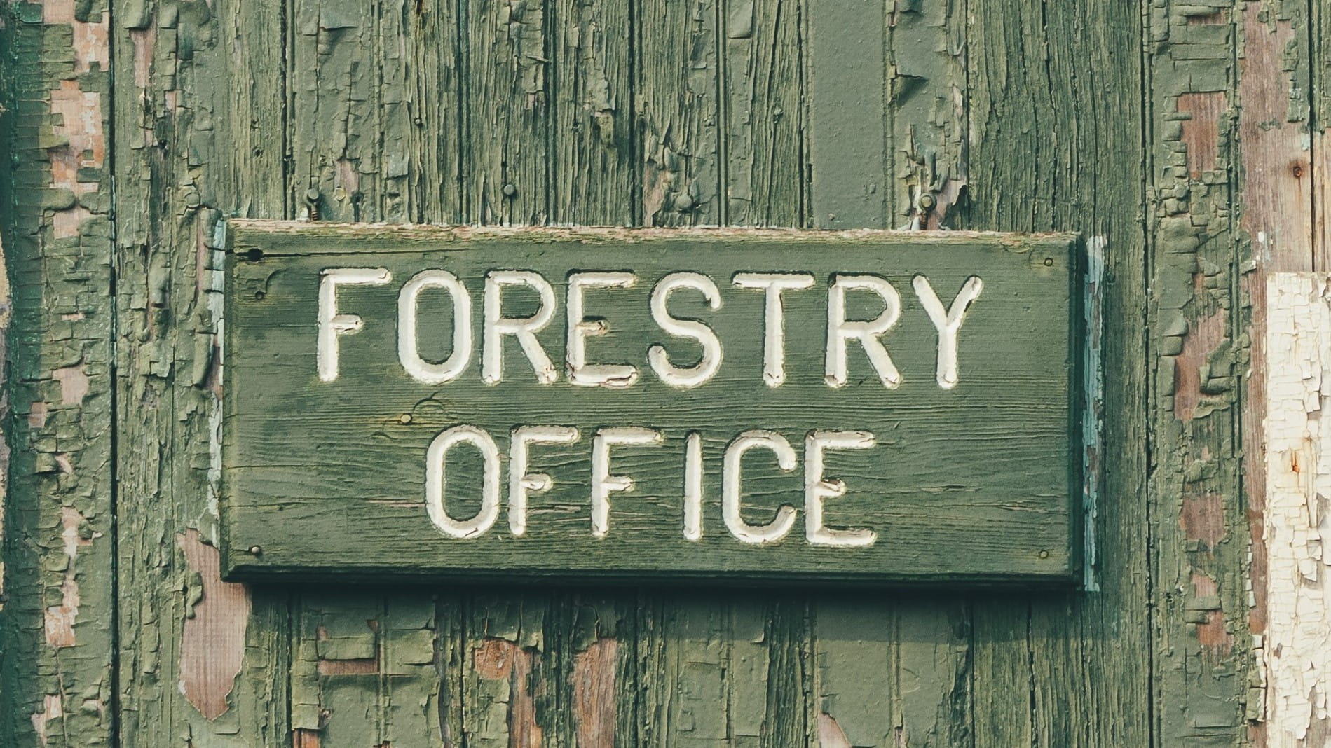 Closeup image of weathered green sign that says "Forestry Office"