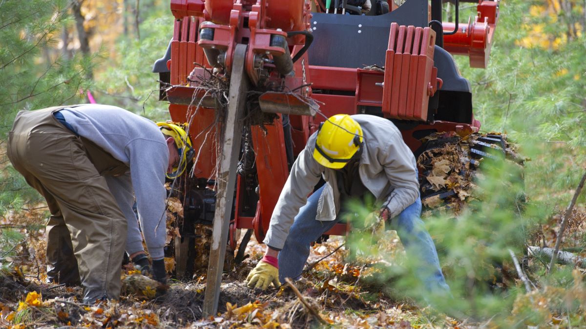 Forest health workers use a vibratory plow in the forest to fight oak wilt disease
