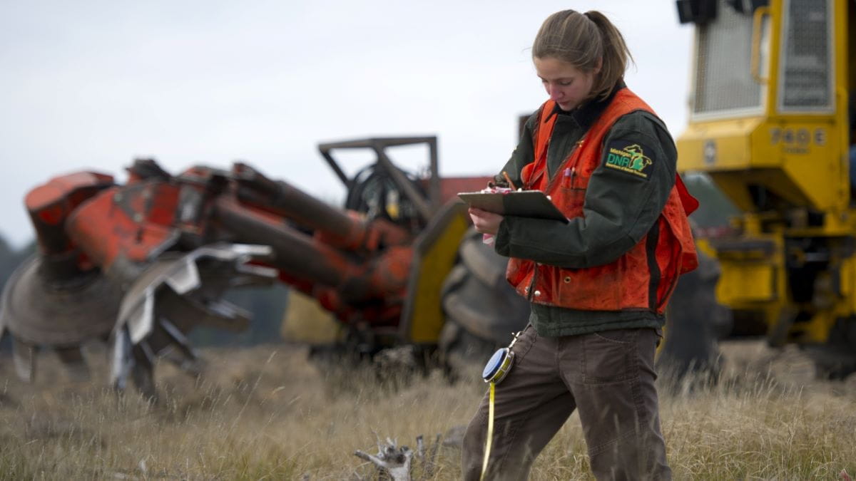A forester in the field is seen writing on a clipboard with large yellow machinery in the background