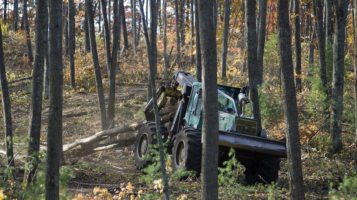 Machinery operated in the woods as part of a shelterwood cut