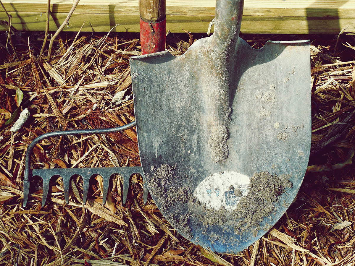 Image of a shovel and rake