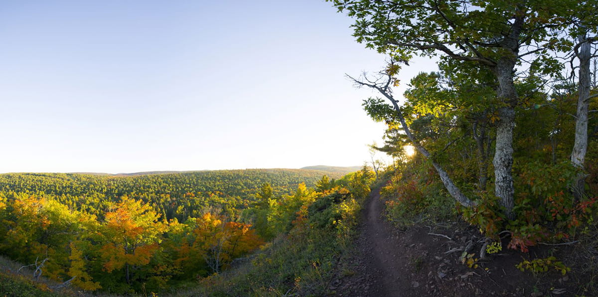A sunlit bike trail in a rolling forested area