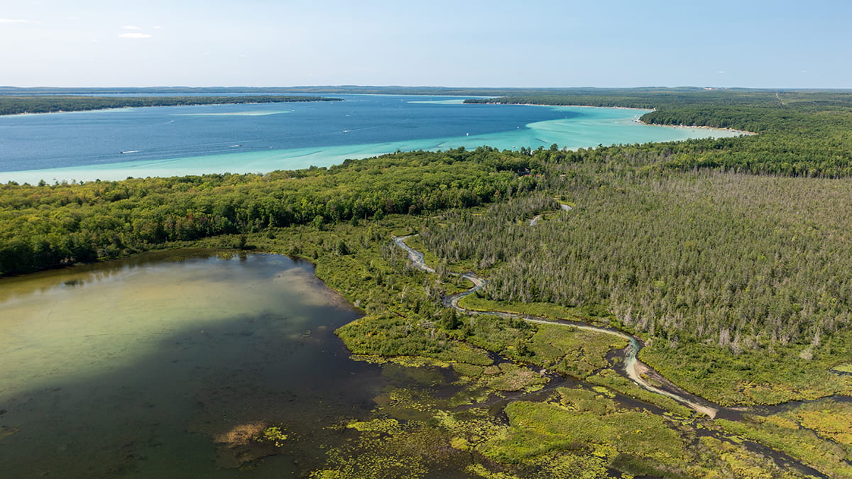 Aerial photo of a forest and lakefront in summer