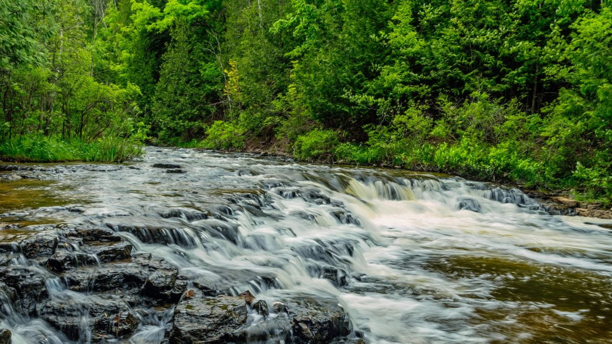 Image of water flowing over Ocqueoc Falls with green forest in the background