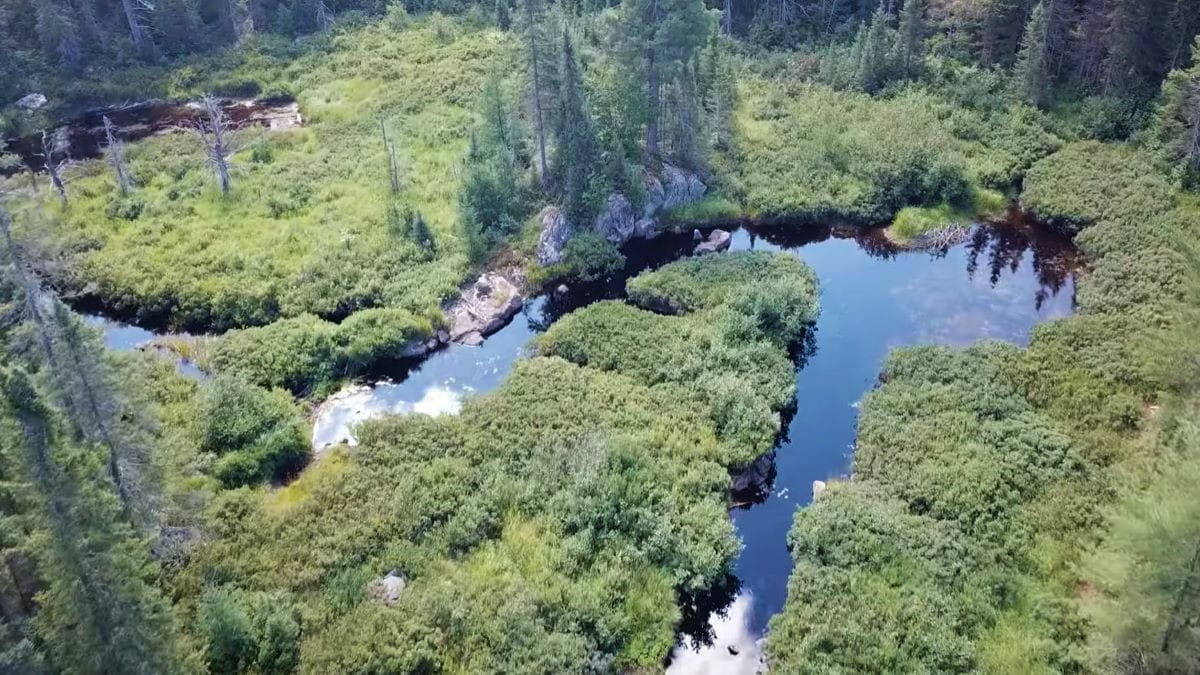Black River Ranch