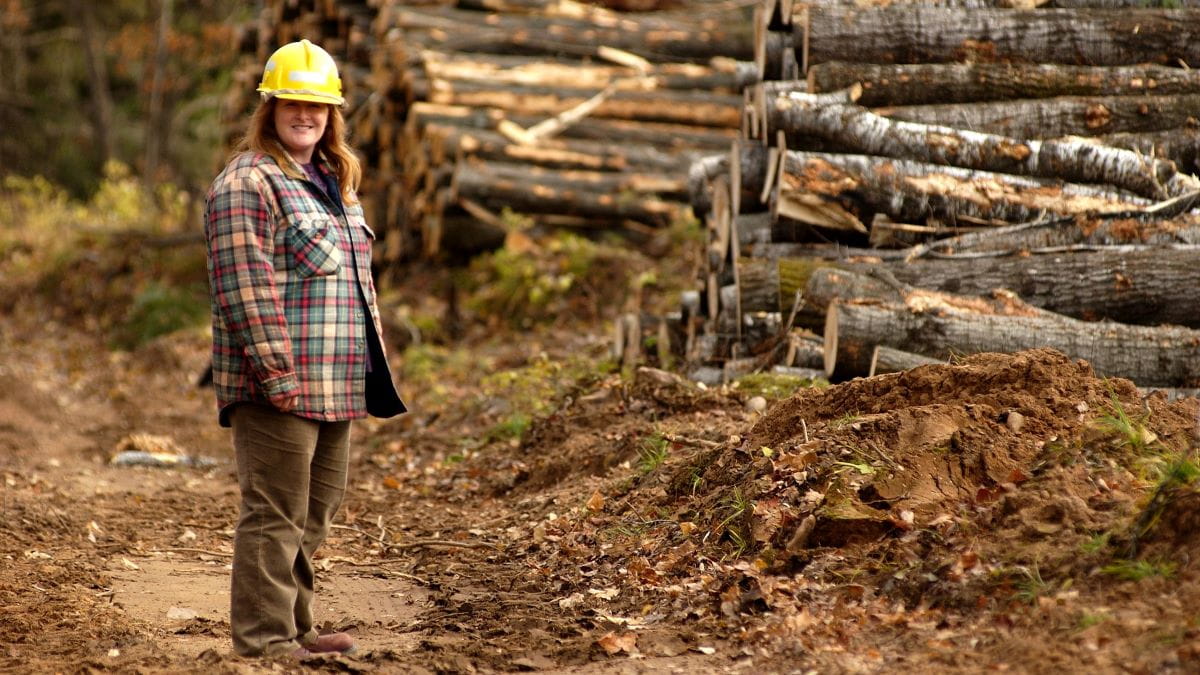 A woman in a yellow hardhat stands in front of harvested aspen logs