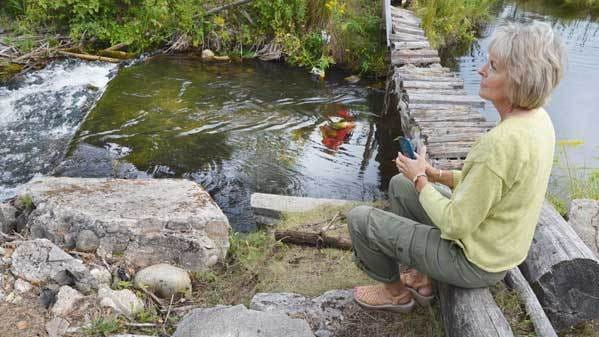 A woman in a green shirt sits by the riverside in a forest
