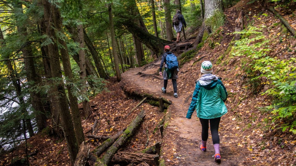 A trio of hikers explores a wooded trail