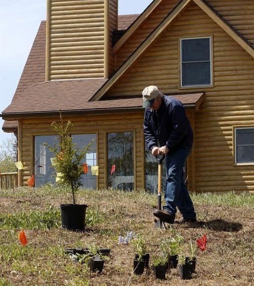 A man planting trees in his yard