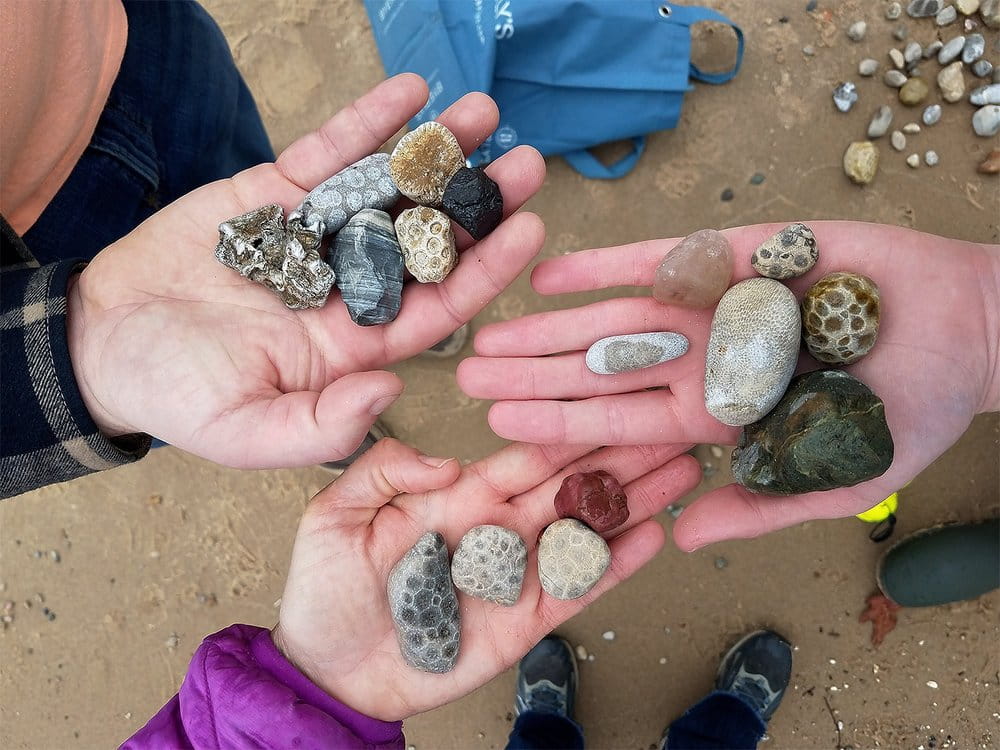 hands holding a variety of different small rocks