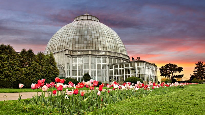 The Conservatory with the sunrise in background and tulips in foreground
