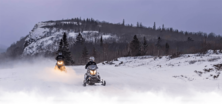 snowmobilers in a forest landscape