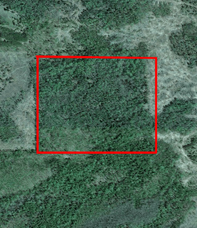 An aerial diagram of the Mischley Purchase