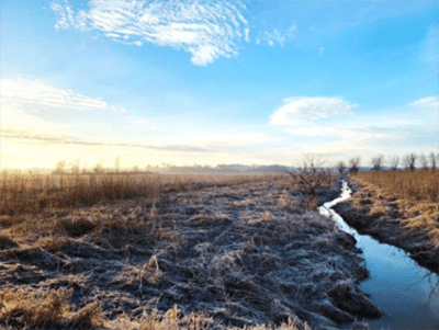 Long view of a river through a marshy area