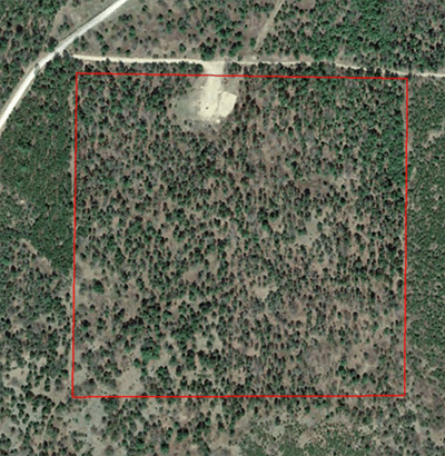 A high aerial view of forest with a red square marked on it