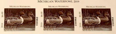 Top strip of Michigan Duck Stamps
